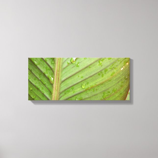 Wassertropfen auf dem Foto des Leaf Leinwanddruck (Vorderseite)