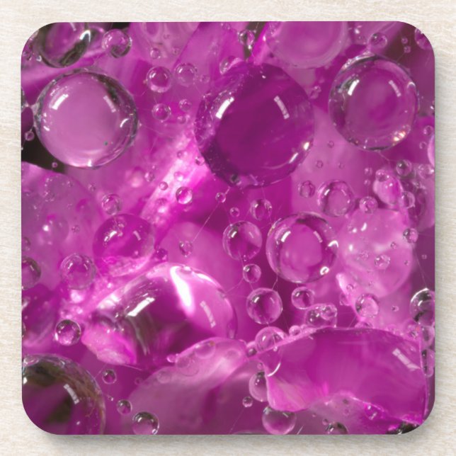 Wassertropfen auf der Blume, Kalifornien Untersetzer (Vorderseite)