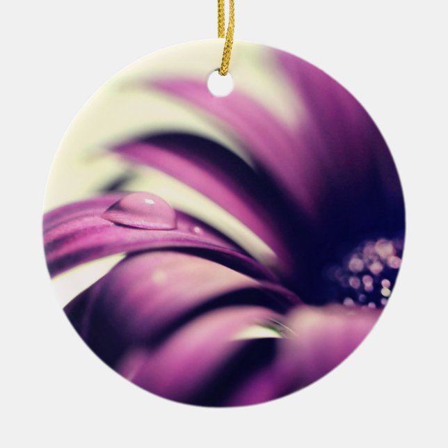 Wassertropfen auf der Lila Gerbera Daisy Keramik Ornament (Vorne)