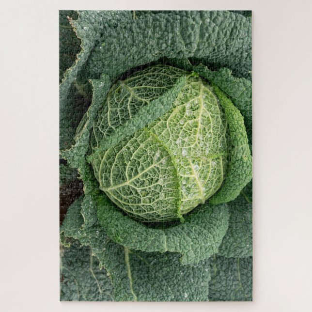 Wassertropfen auf einem Kohlkopf Puzzle (Vertikal)