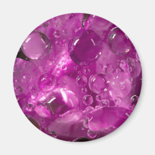 Wassertropfen auf einer Blume, Kalifornien Magnet