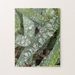Wassertropfen auf Gras Puzzle
