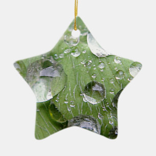 Wassertropfen auf grünem Blatt Keramikornament