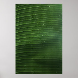 Wassertropfen auf grünem Laub Poster