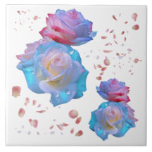 Wassertropfen auf rosa und blaue Rose auf Weiß |