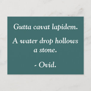 Wassertropfen holt einen Stein - Ovid Zitat Postkarte