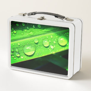 Wassertropfen Metall Brotdose