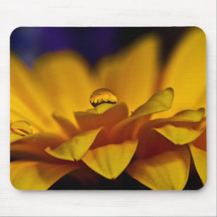 Wassertropfen mit Reflektion von Gerbera Daisy Mousepad