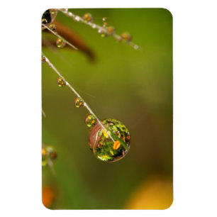 Wassertropfen Nah Magnet