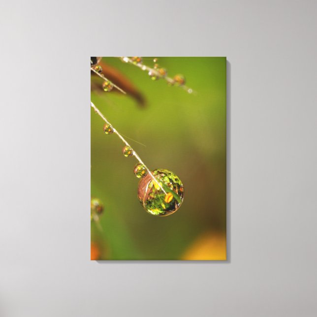 Wassertropfen Nahaufnahme Leinwanddruck (Vorderseite)