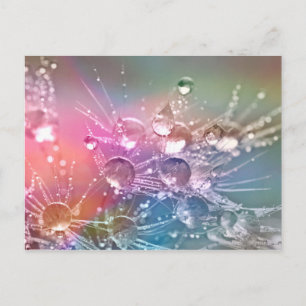 Wassertropfen Postkarte
