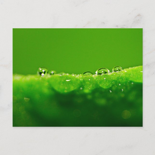 Wassertropfen Postkarte (Vorderseite)