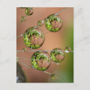 Wassertropfen-Reflexion Postkarte