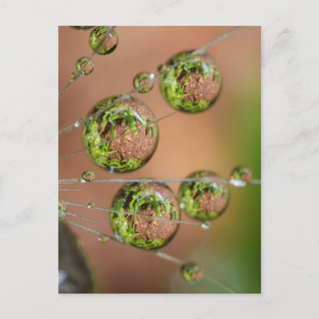 Wassertropfen-Reflexion Postkarte (Vorderseite)