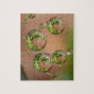 Wassertropfen-Reflexion Puzzle