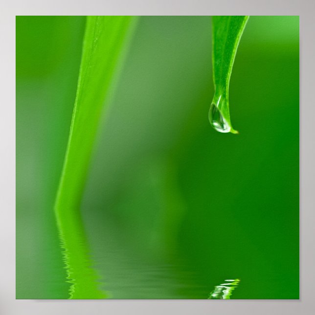 Wassertropfenplakat Poster (Vorne)