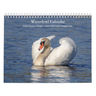 Wasservögel 2024 kalender