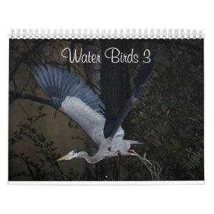 Wasservögel 3 Zwei Seiten Mittelkalender, weiß Kalender