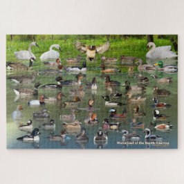 Wasservögel in Nordamerika Puzzle