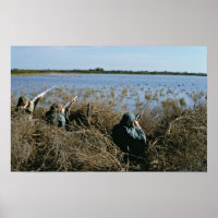 Wasservogeljagd