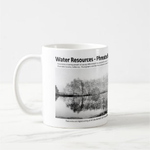 Wasservorkommen I - Phreatophytes auf der Tasse