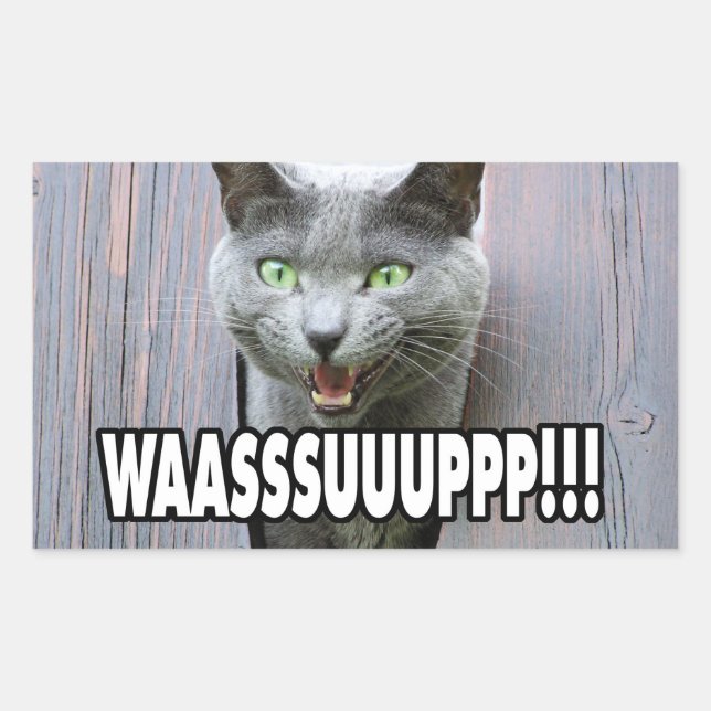 WASSUP - Cat Meme Rechteckiger Aufkleber (Vorderseite)