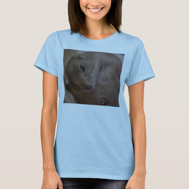 Wassup T-Shirt (Vorderseite)