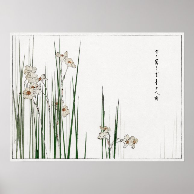 Watanabe Seitei Jonquil Illustration von Bijutsu Poster (Vorne)