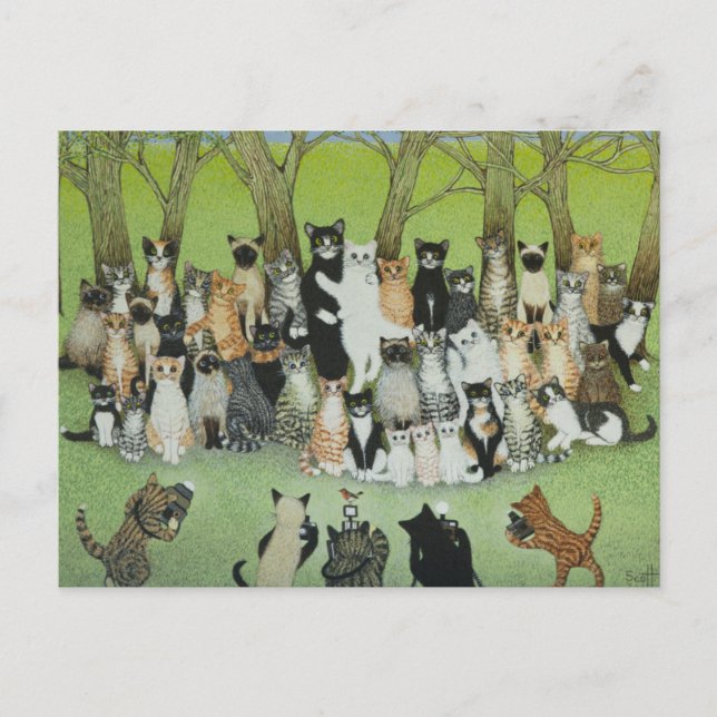 Watch the Birdie Postkarte (Vorderseite)