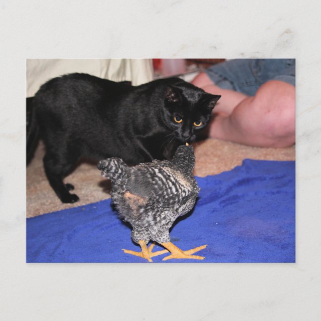 Watchers Postkarte (Vorderseite)