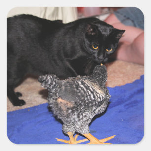 Watchers Quadratischer Aufkleber