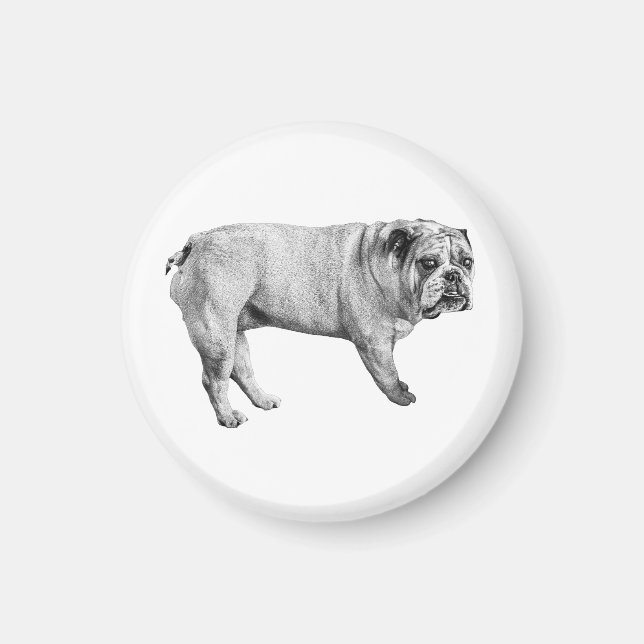 Watchful Bulldog Magnet (Vorne)