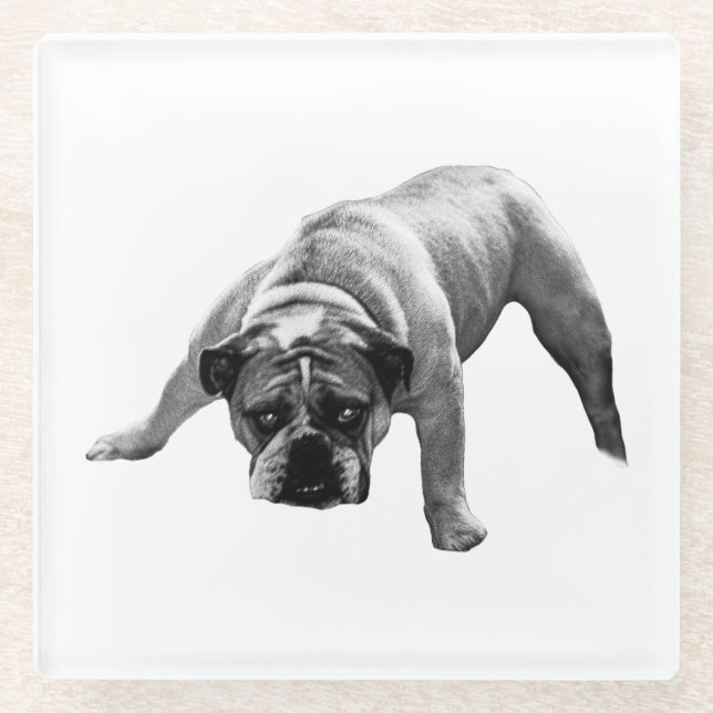 Watchful Bulldog-Untersetzer Glasuntersetzer (Vorderseite)