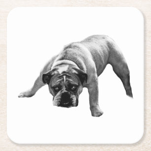 Watchful Bulldog-Untersetzer Rechteckiger Pappuntersetzer