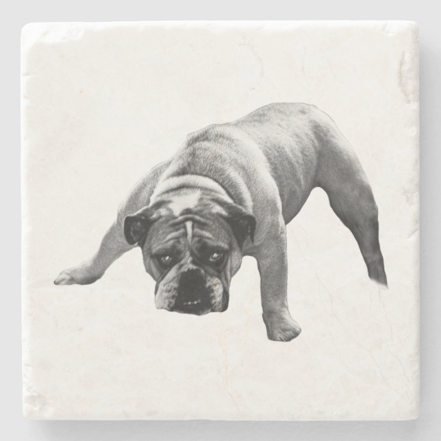 Watchful Bulldog-Untersetzer Steinuntersetzer (Vorderseite)