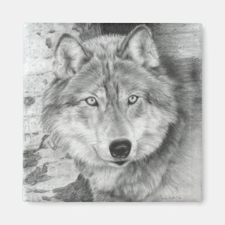 Watchful Eyes Wolf Magnet