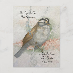 Watchful Song Sparrow Biete Zitat Wasserfarbe Postkarte