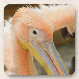 Watching You Pelican Cork Coaster Getränkeuntersetzer