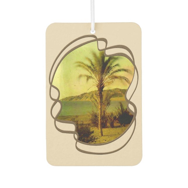 Water Baby Vintag Palm Air Freshener Autolufterfrischer (Vorderseite)