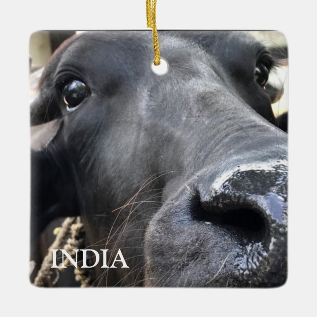 Water Buffalo, Indien Keramikornament (Vorderseite)