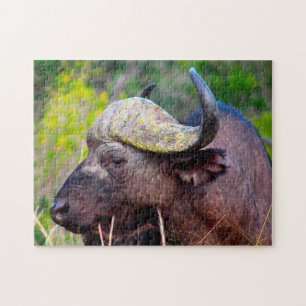 Water Buffalo Puzzle