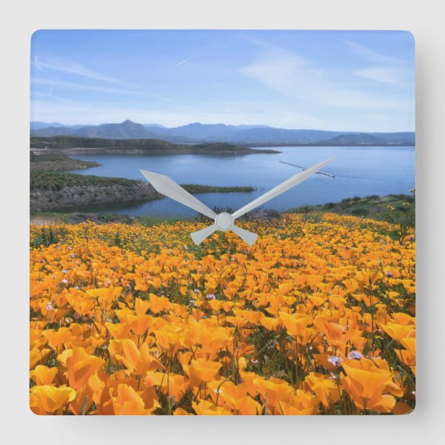 Water | California Lake With Golden Poppies Quadratische Wanduhr (Vorderseite)