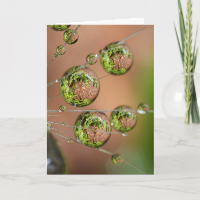 Water Droplet Reflektion Karte (Vorderseite)