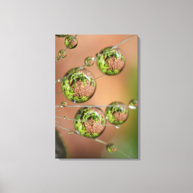Water Droplet Reflektion Leinwanddruck (Vorderseite)