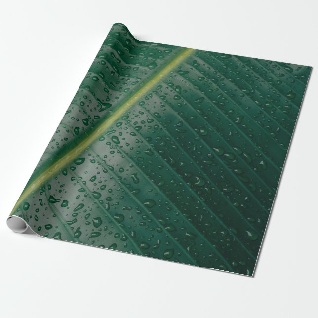 Water droplets on banana leaf geschenkpapier (Ungerollt)