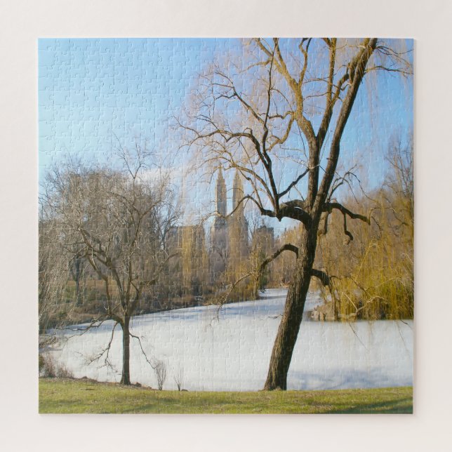 Water Feature Central Park New York Puzzle (Vertikal)