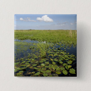 Water lilies and sawgrass in Florida everglades Button