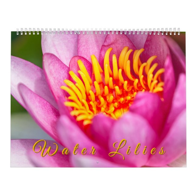 Water Lilies  Kalender (Titelbild)