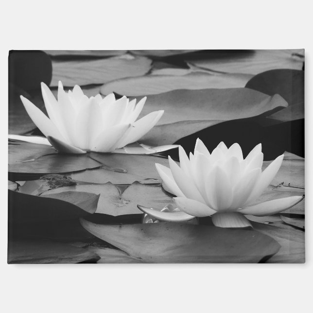 Water Lilies Magnet (Vorderseite)