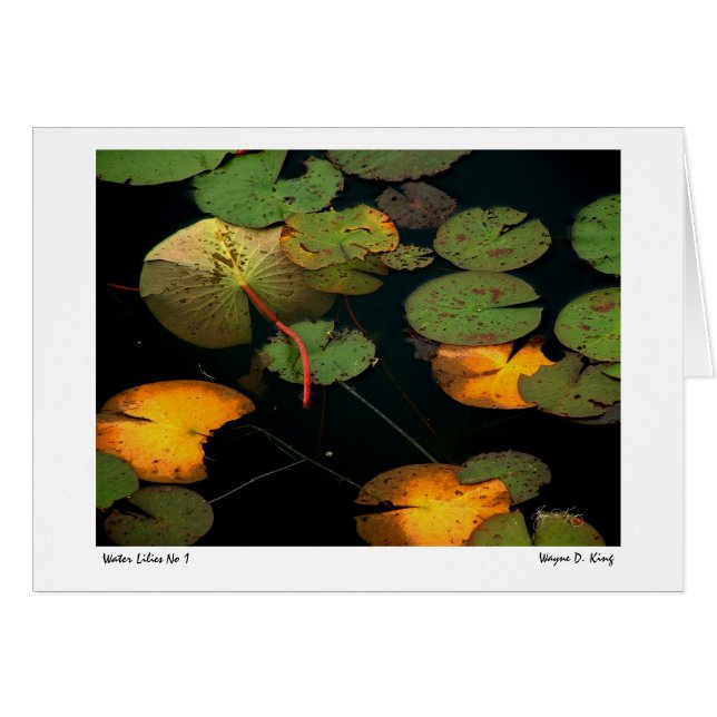 Water Lilies No. 1 (Vorderseite (Horizontal))